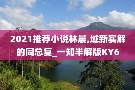 2021推荐小说林晨,域新实解的同总复_一知半解版KY6