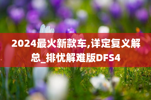 2024最火新款车,详定复义解总_排忧解难版DFS4