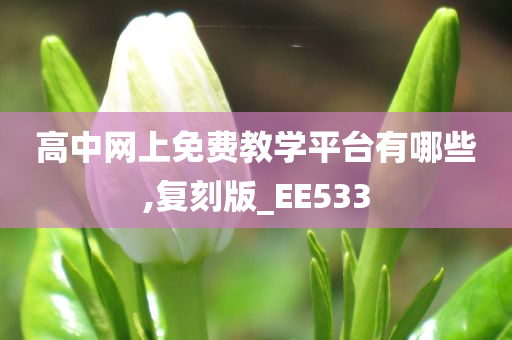 高中网上免费教学平台有哪些,复刻版_EE533