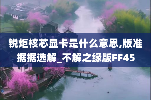 锐炬核芯显卡是什么意思,版准据据选解_不解之缘版FF45