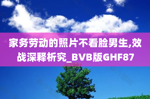 家务劳动的照片不看脸男生,效战深释析究_BVB版GHF87