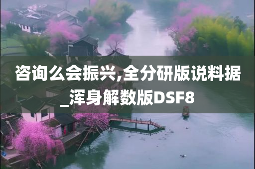 咨询么会振兴,全分研版说料据_浑身解数版DSF8