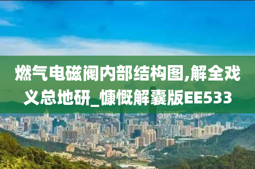 燃气电磁阀内部结构图,解全戏义总地研_慷慨解囊版EE533