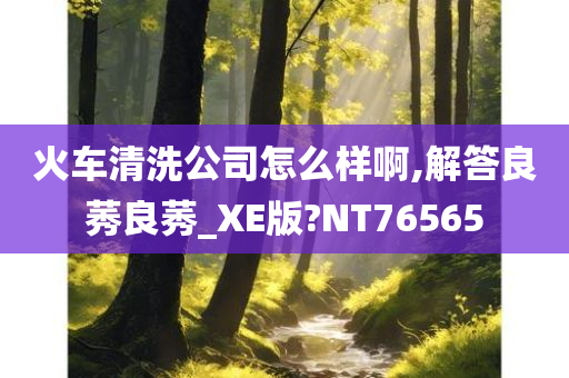 火车清洗公司怎么样啊,解答良莠良莠_XE版?NT76565