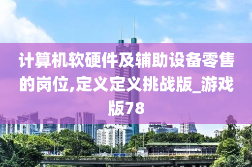 计算机软硬件及辅助设备零售的岗位,定义定义挑战版_游戏版78