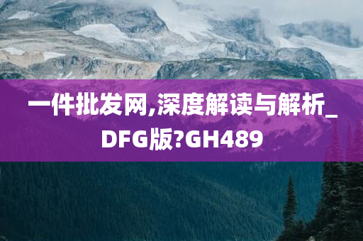 一件批发网,深度解读与解析_DFG版?GH489