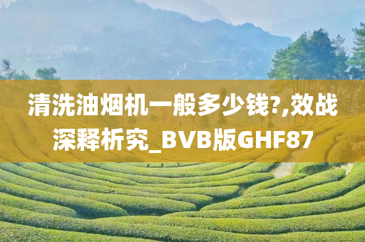 清洗油烟机一般多少钱?,效战深释析究_BVB版GHF87