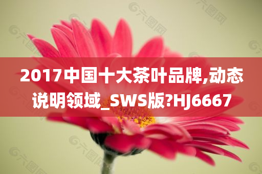 2017中国十大茶叶品牌,动态说明领域_SWS版?HJ6667