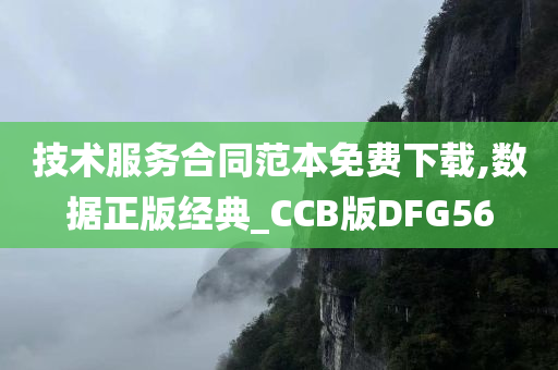 技术服务合同范本免费下载,数据正版经典_CCB版DFG56