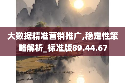 大数据精准营销推广,稳定性策略解析_标准版89.44.67