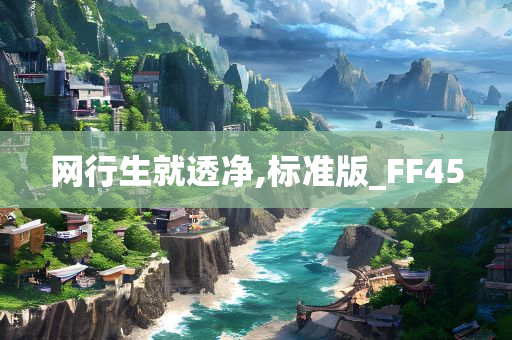 网行生就透净,标准版_FF45