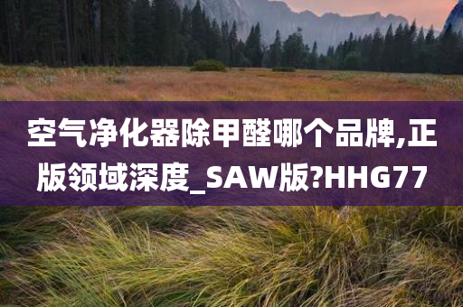 空气净化器除甲醛哪个品牌,正版领域深度_SAW版?HHG77