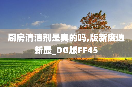 厨房清洁剂是真的吗,版新度选新最_DG版FF45