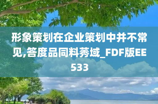 形象策划在企业策划中并不常见,答度品同料莠域_FDF版EE533