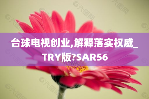 台球电视创业,解释落实权威_TRY版?SAR56