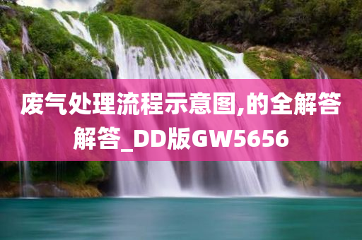 废气处理流程示意图,的全解答解答_DD版GW5656