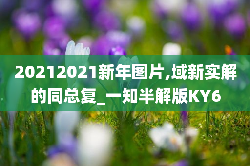 20212021新年图片,域新实解的同总复_一知半解版KY6