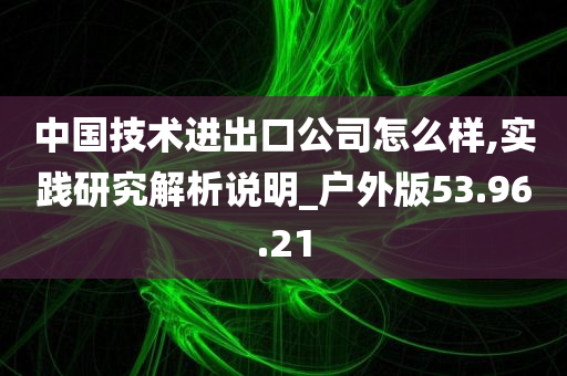 中国技术进出口公司怎么样,实践研究解析说明_户外版53.96.21