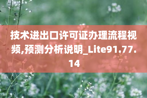 技术进出口许可证办理流程视频,预测分析说明_Lite91.77.14