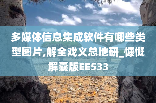 多媒体信息集成软件有哪些类型图片,解全戏义总地研_慷慨解囊版EE533