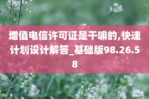 增值电信许可证是干嘛的,快速计划设计解答_基础版98.26.58