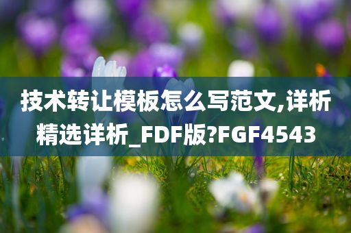 技术转让模板怎么写范文,详析精选详析_FDF版?FGF4543