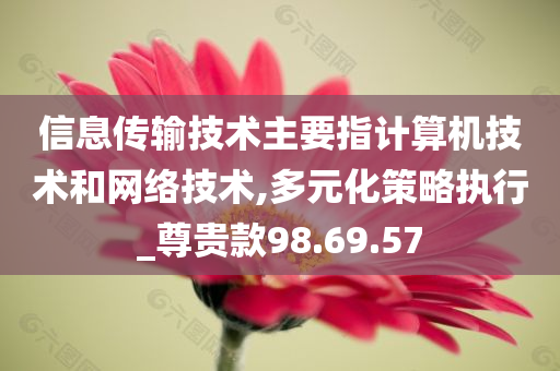 信息传输技术主要指计算机技术和网络技术,多元化策略执行_尊贵款98.69.57