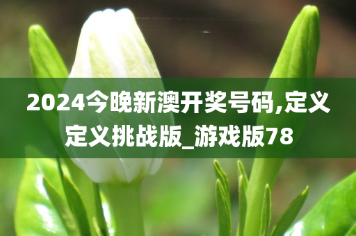 2024今晚新澳开奖号码,定义定义挑战版_游戏版78