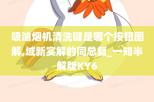 吸油烟机清洗键是哪个按钮图解,域新实解的同总复_一知半解版KY6