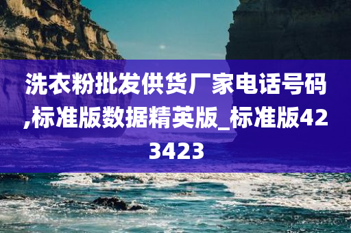 洗衣粉批发供货厂家电话号码,标准版数据精英版_标准版423423