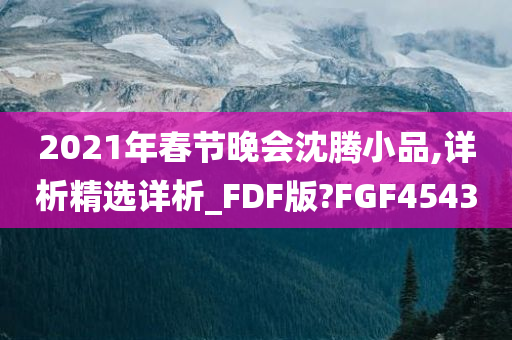 2021年春节晚会沈腾小品,详析精选详析_FDF版?FGF4543