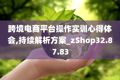 跨境电商平台操作实训心得体会,持续解析方案_zShop32.87.83