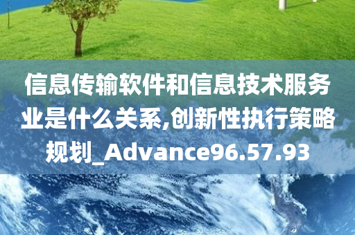 信息传输软件和信息技术服务业是什么关系,创新性执行策略规划_Advance96.57.93