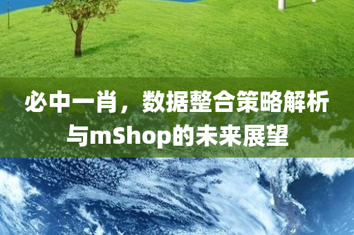 必中一肖，数据整合策略解析与mShop的未来展望