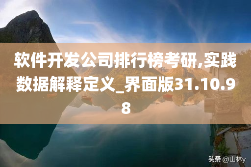 软件开发公司排行榜考研,实践数据解释定义_界面版31.10.98