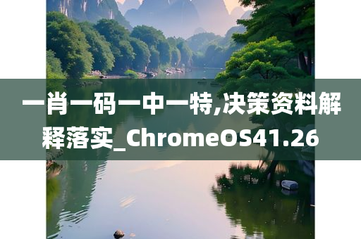 一肖一码一中一特,决策资料解释落实_ChromeOS41.26