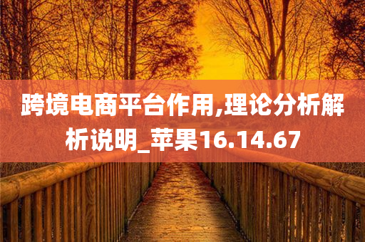 跨境电商平台作用,理论分析解析说明_苹果16.14.67