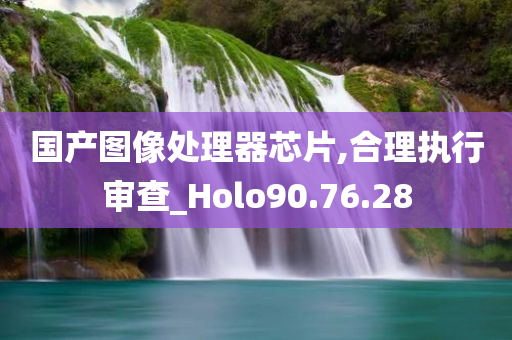 国产图像处理器芯片,合理执行审查_Holo90.76.28