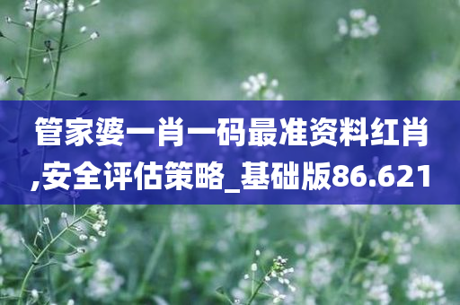 管家婆一肖一码最准资料红肖,安全评估策略_基础版86.621