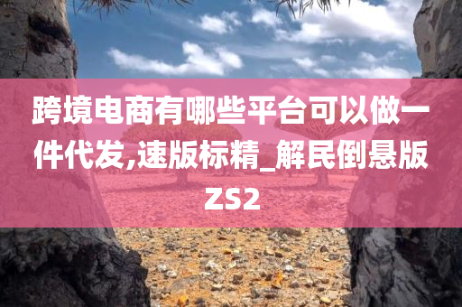 跨境电商有哪些平台可以做一件代发,速版标精_解民倒悬版ZS2