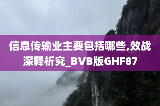 信息传输业主要包括哪些,效战深释析究_BVB版GHF87