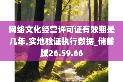 网络文化经营许可证有效期是几年,实地验证执行数据_储蓄版26.59.66