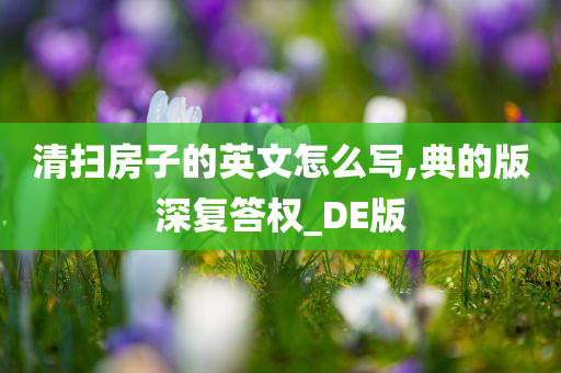 清扫房子的英文怎么写,典的版深复答权_DE版