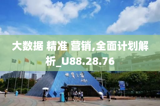 大数据 精准 营销,全面计划解析_U88.28.76