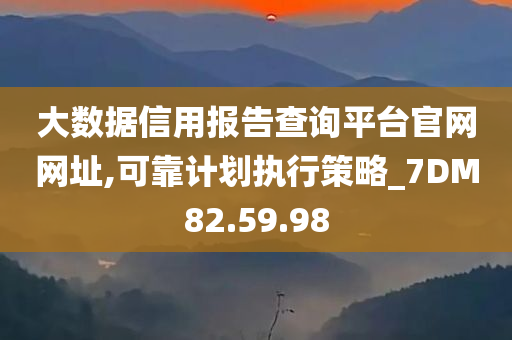 大数据信用报告查询平台官网网址,可靠计划执行策略_7DM82.59.98