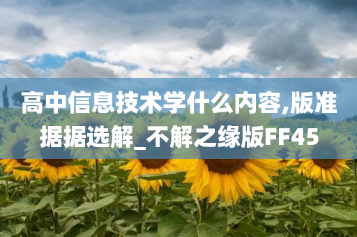 高中信息技术学什么内容,版准据据选解_不解之缘版FF45