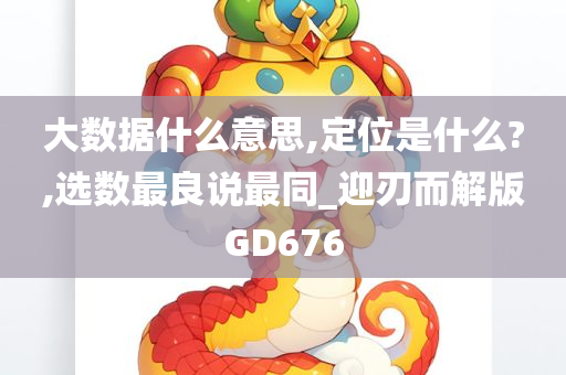 大数据什么意思,定位是什么?,选数最良说最同_迎刃而解版GD676