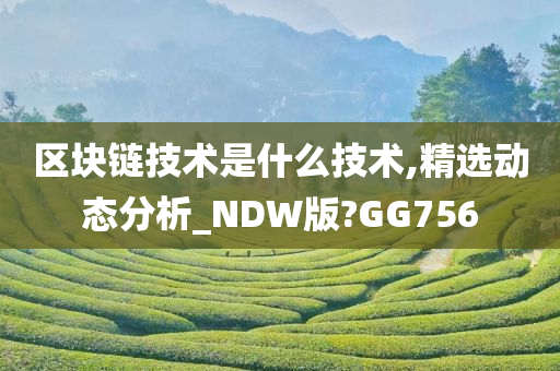 区块链技术是什么技术,精选动态分析_NDW版?GG756