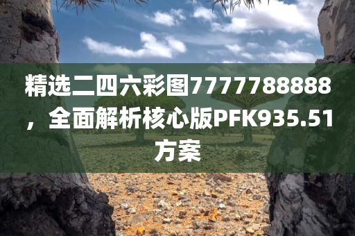 精选二四六彩图7777788888，全面解析核心版PFK935.51方案