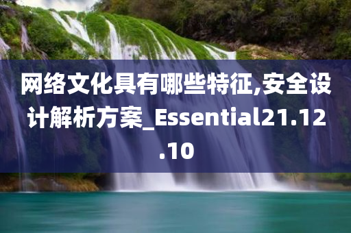 网络文化具有哪些特征,安全设计解析方案_Essential21.12.10